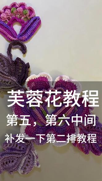 #芙蓉花教程视频,补发一下教程、