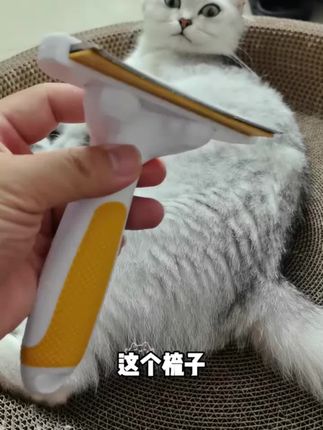 原来宠物店都是这样给小狗打薄毛发的,用这种带刀片的梳子,小狗不仅不会觉得疼,还舒服的想睡觉。刀头是内凹弧形的,不仅贴合狗狗皮肤,还不会划伤毛囊,就连身上的浮毛也能轻松带走。所到之处,干干净净,就像换了一只新狗一样,家里再也不会狗毛满天飞了。
