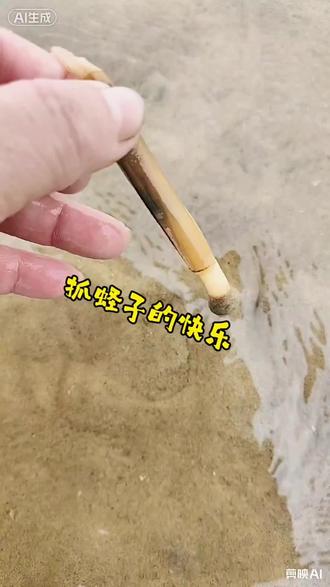 抓蛏子的快乐!保姆式教程!! #新农人计划2026 #渔民生活 #真实赶海 #抓蛏子#挖螺