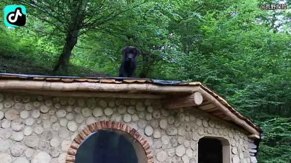 #抖音精选 #解锁精选云假期 #荒野求生