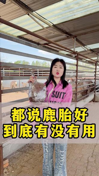 都说鹿胎好到底有没有用#鹿茸 #鹿胎 #梅花鹿养殖 #新农人计划