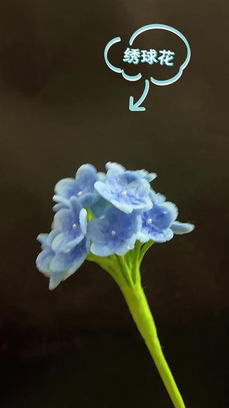 一岁一礼之第五款~绣球花
扭扭棒绣球花教程,可插花瓶,可组花束!美美哒!#手工 #扭扭棒 #教程 #绣球花#花束