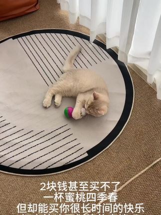#萌宠出道计划