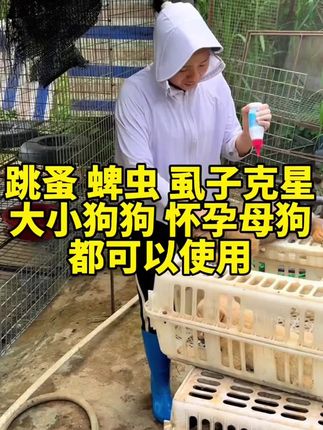畜睿R喷一喷驱虫粉剂一瓶100克饲料添加剂#科学养宠攻略 #萌宠推荐官 #养宠必备驱虫粉剂#养宠日常消毒 #萌宠好物