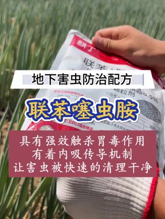 #地下害虫 #地下害虫克星 #联苯噻虫胺 #地上地下害虫防治#杀虫剂