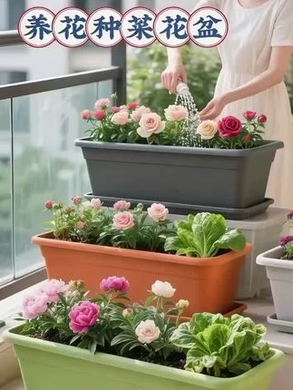 #阳台花园 #花盆#种菜#种花#阳台种植