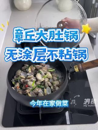 厨房首选,章丘铁锅,带给家人健康,带给家人快乐#铁锅 #无涂层不粘锅 #平底锅 #不粘锅 #大肚锅