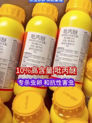 #杀虫剂 #吡丙醚 #病虫害防治 #三农种植 #抖音助农扶农