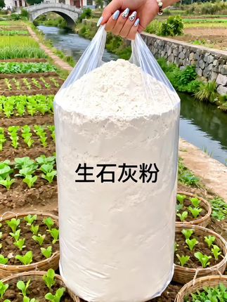生石灰粉来啦!粉质细腻,用途多。能调土壤酸碱度,助作物生长;也可清洁消 毒,让环境洁净。养殖种植日常生活用处多多,使用方便,储存省心~家中常备~#生石灰粉#生石灰#新农人计划 #我的乡村生活 #超便宜超划算 @抖加🔥上热门🔥dou+🔥热点宝