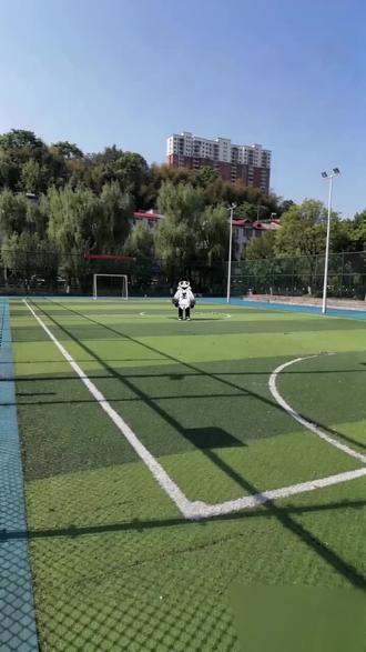 熊猫墨钛旅行记-5