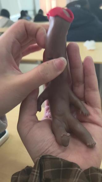 可怜的娜塔莎被伊拉和达妮娅玩弄于股掌之中。。。。
不要欺负娜塔莎啊😭😭😭😭😭😭
૮₍ɵ̷﹏ɵ̷̥̥᷅₎ა
@你的锤子掉了
#大学生 #玩具#抽象