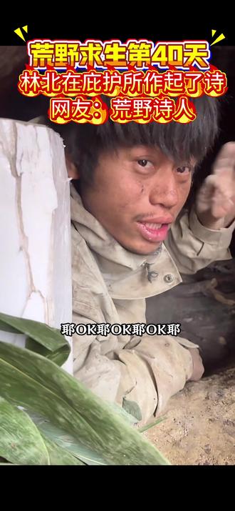 林北真的很林北#荒野求生#张家界 #七星山