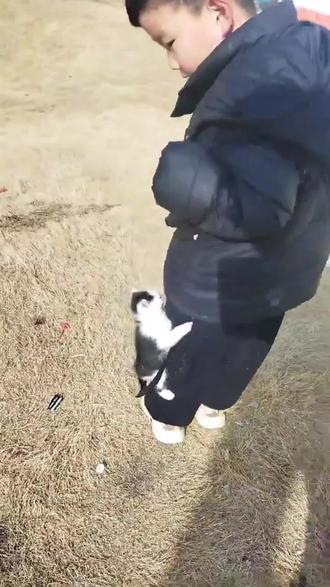 #熊大结尾 #剪辑教程#可爱动物#亲子时光