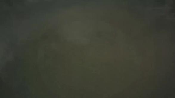 【DFLP】烈士、战地指挥官伊亚德·迪布·阿布·拉哈姆 解放巴勒斯坦民主阵线(DFLP),巴勒斯坦的一支红色左翼政党。
2026年1月22日,解放巴勒斯坦民主阵线(DFLP)下属军事派别奥马尔·卡西姆烈士部队(又称民族抵抗旅)发布了已故的战地指挥官伊亚德·迪布·阿布·拉哈姆生前的一些影像资料。
2025年6月4日,奥马尔·卡西姆烈士部队发布了伊亚德·迪布·阿布·拉哈姆的讣告,内容如下:
军事声明
奥马尔·卡西姆烈士部队哀悼其指挥官伊亚德·阿布·拉哈姆烈士
奥马尔·卡西姆烈士部队——巴勒斯坦民主解放阵线军事派别,怀着无比的自豪和庄严,向坚韧不拔的巴勒斯坦人民和全世界所有自由人士宣告:
我们的烈士是战地指挥官伊亚德·迪布·阿里·阿布·拉哈姆(35岁)
他是加沙地带南部拉法市最著名的战地指挥官之一,也是训练和准备工作的负责人
他在2025年6月4日星期三黎明时分的"阿克萨风暴"行动中牺牲,当时以色列战机对加沙地带南部汗尤尼斯市附近的目标发动了卑劣的袭击。
奥马尔·卡西姆烈士部队在送别一位又一位烈士指挥官和战士时,重申将继续他们的道路,坚持斗争和抵抗,直到实现我们人民的自由、回归、独立以及建立以耶路撒冷为首都的巴勒斯坦国的目标。
烈士万岁,永垂不朽!胜利属于我们的人民和他们的抵抗运动!
奥马尔·卡西姆烈士部队
2025年6月4日星期三
#巴勒斯坦 #加沙 #解放巴勒斯坦民主阵线 #解放巴勒斯坦 #巴勒斯坦抵抗运动