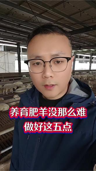 养羊其实很简单,做好这几点,育肥羊长势好,效益高 #羊场管理 #科学养羊 #唐县育肥羊