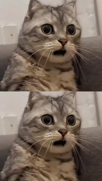 祖宗:往年都是你们来看我,今年我来看看你们☺️#2026 #清明节 #复活节 #复活节彩蛋 #节日气氛