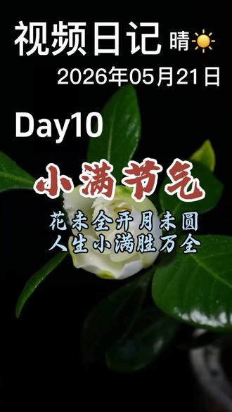 小满节气 花未全开月未圆,人间小满胜万全
#创作者中心 #创作灵感 #小满时节 #视频日记 #今日小满快乐