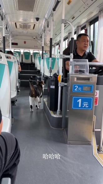 #AI公交投币趣事 #随变ai随便玩 哈哈哈哈哈