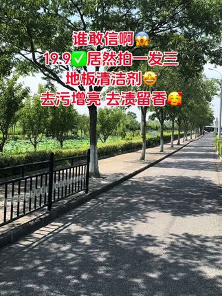 #地板清洁液 #地板清洁剂 #居家好物 #好物推荐 #生活小妙招 真的太划算啦,这价居然拍一发三大瓶,刷到的赶紧薅