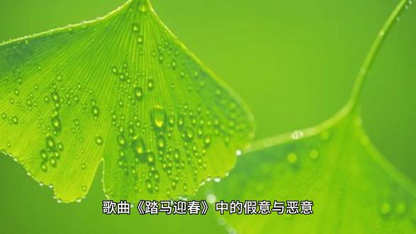 歌曲《踏马迎春》中的假意与恶意