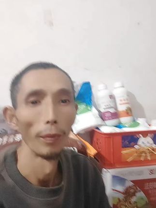 #柑橘开始花芽分化套袋