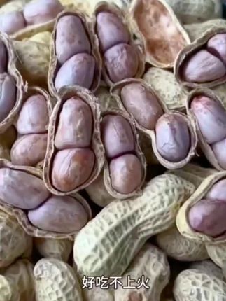 水煮日晒花生,当季的新花生,好吃也不上火!这价到手足足一斤装是真的好划算!#水煮日晒花生 #优质农产品 #超便宜超划算 #追剧小零食 #花生