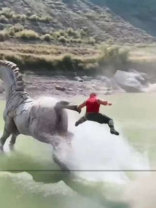找回小时候的乐趣#男人玩具