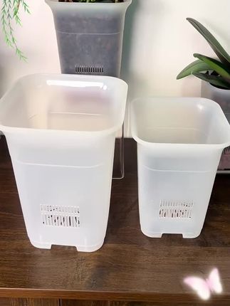 #花盆 #控根花盆#蝴蝶兰花盆#塑料花盆#爱生活爱养花