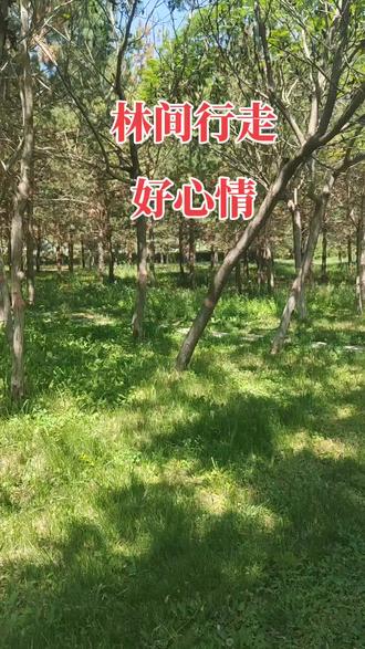 2023.6.8星期四
呼市 锡林公园