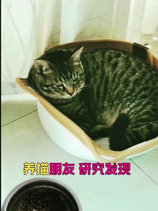 科学养宠攻略 好物推荐分享 #生活服务热点中心 #猫粮推荐 #好物推荐🔥 @抖音小助手