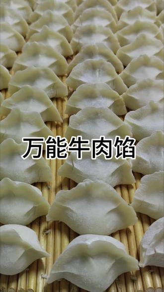 #饺子 #牛肉蒜黄馅 #万能牛肉馅 #化橘红 万能牛肉馅学会了,搭配各种蔬菜都好吃!😜😜😜