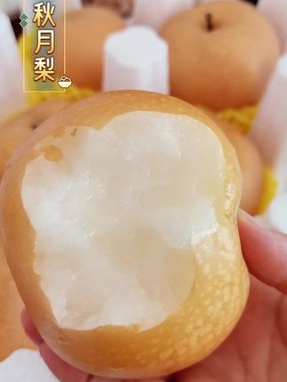 秋天就应该多吃点梨!山东莱阳秋月梨巨好吃!果肉细腻无渣,纯甜爆汁,#新鲜采摘 #梨 #秋月梨 #莱阳秋月梨 #产地直发应季水果