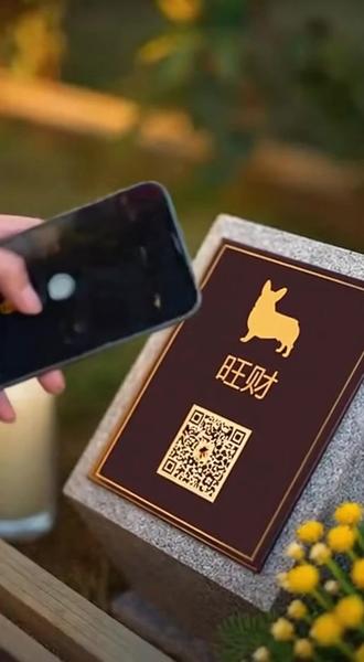 专业信赖型
专注数字生命纪念,守护每一份独一无二的爱。
"我家柯基旺财离开我已经一年了,但我每天都能'看到'它。因为我在它的纪念牌上刻了一个二维码,每次扫描二维码,我就能看到旺财的照片和视频。
最让我感动的是,这个服务还支持亲友留言。旺财的'干妈'每次来看它,都会扫码留言:'旺财,干妈想你了,记得在汪星要好好吃饭哦!'
有一次,我带新同事来家里做客,同事扫描二维码后说:'哇,旺财好可爱啊!我也想给我家猫咪建一个这样的纪念牌。'
现在,我再也不用担心手机里的照片会丢失,也不用担心内存不够。因为所有的回忆都被永久存储在区块链上,永远不会消失。
如果你也有一个让你牵挂的毛孩子,不妨试试这个服务。扫码的那一刻,你会发现,它们从未