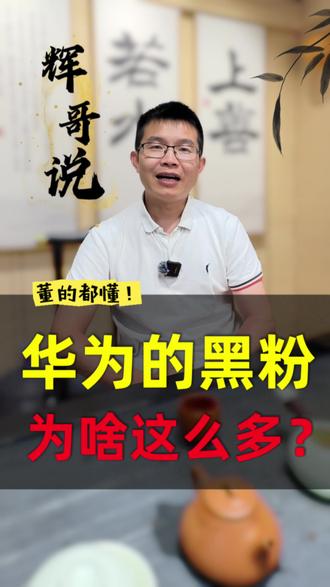 请停止黑华为!华为一个民营企业真的不容易!#商业思维 #干货分享 #华为#华为mate60pro #认知