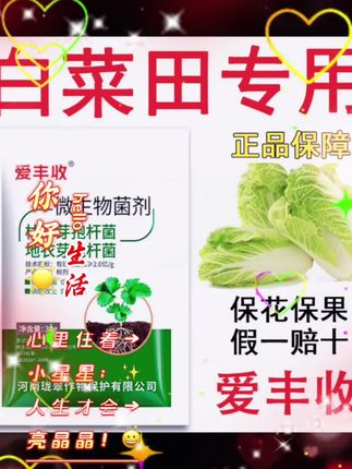 白菜田专用 #农业种植 #白菜种植#种植小技巧 #农业种植技术 #种植技术