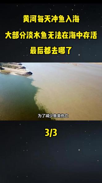 黄河每天冲鱼入海,大部分淡水鱼无法在海中存活,最后都去哪了#科普#科普一下#大国重器#大国崛起#黄河