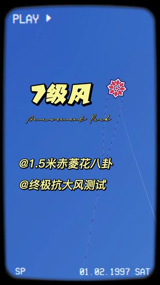 7级风测试1.5米赤菱花八卦 可以说毫无压力