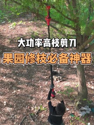 大哥不妨带一把大功率电动剪刀回家感受一下呢 轻松剪切不费劲 功率大 剪切速度快 更加轻松更加得劲!#科捷沃电动剪刀#园林剪刀#五金工具#电动剪刀