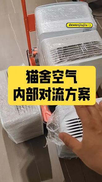 猫咪繁育饲养技巧,猫舍用品 #家庭猫舍 #德文九九 #猫咪繁育 #猫咪空间消毒#德文家庭繁育