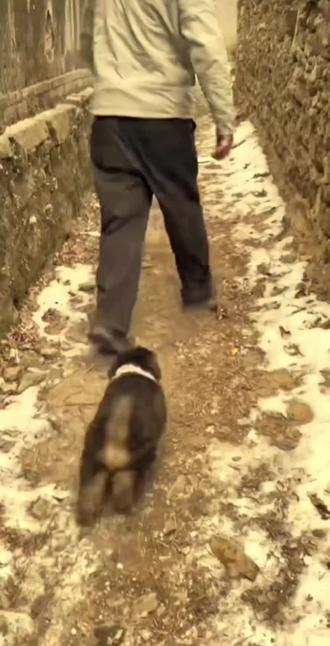 门头沟相亲记#骏良 #胖宝宝#胖夫夫