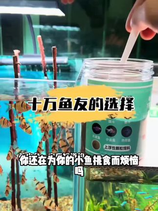 小型鱼专用鱼粮孔雀鱼饲料上浮小颗粒金鱼天使鱼热带鱼通用鱼食
