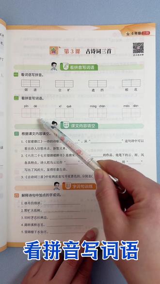 人教版六年级上册语文看拼音写词语课文填空字词训练阅读理解同步练习册#易错题型 #同步训练#六年级上册语文#专项训练