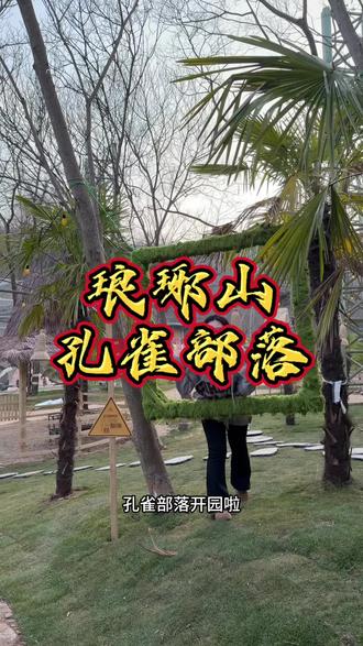 春节遛娃就来琅琊山孔雀部落#琅琊山孔雀部落#琅琊山飞越丛林#我在安徽过大年#春节玩遍琅琊山#打开滁州的一万种方式