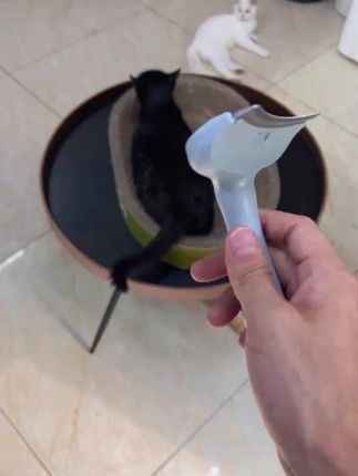 这种才是能梳掉底绒的梳子!再也不用强迫猫咪剃毛啦#萌宠好物 #养猫新手