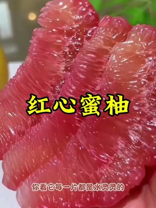 #秋天的第一个柚子 #新鲜采摘 #超好吃 #水果 #红心蜜柚
