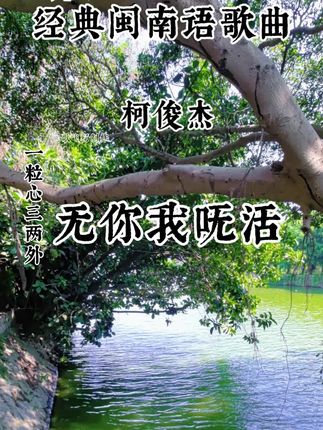 #经典闽南语歌曲