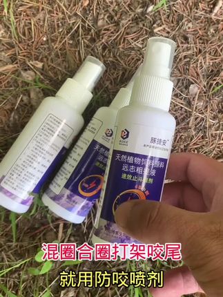 #猪打架 #猪咬尾巴 #猪病防控