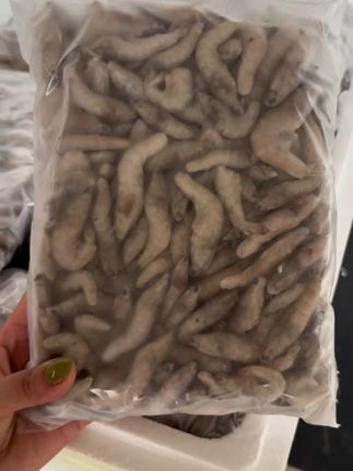 冷冻大虾河虾冻虾龙鱼虎鱼魟鱼鱼食增色发色高蛋白水族喂鱼饲料#鱼食#鱼饲料#龙鱼#虎鱼#魟鱼