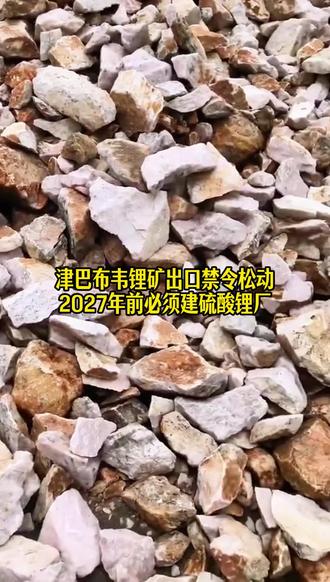 津巴布韦锂矿出口禁令松动 #津巴布韦 #中商海外产业出海平台#非洲#出海非洲