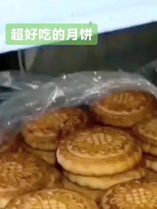 老式五仁月饼,软糯香甜,特别是馅料香#零食推荐 #五仁月饼受够了流言蜚语 #饼#生活服务热点中心@抖音小助手